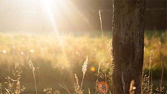 引领科技浪潮的在线短信轰炸机网页版