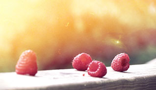 在线手机号呼死你